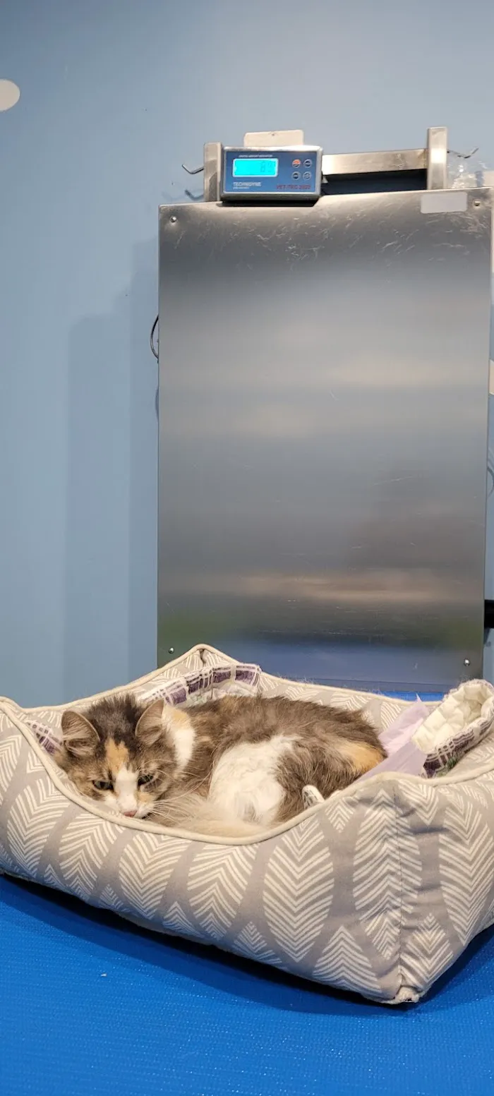 Philadelphia Animal Hospital 9
