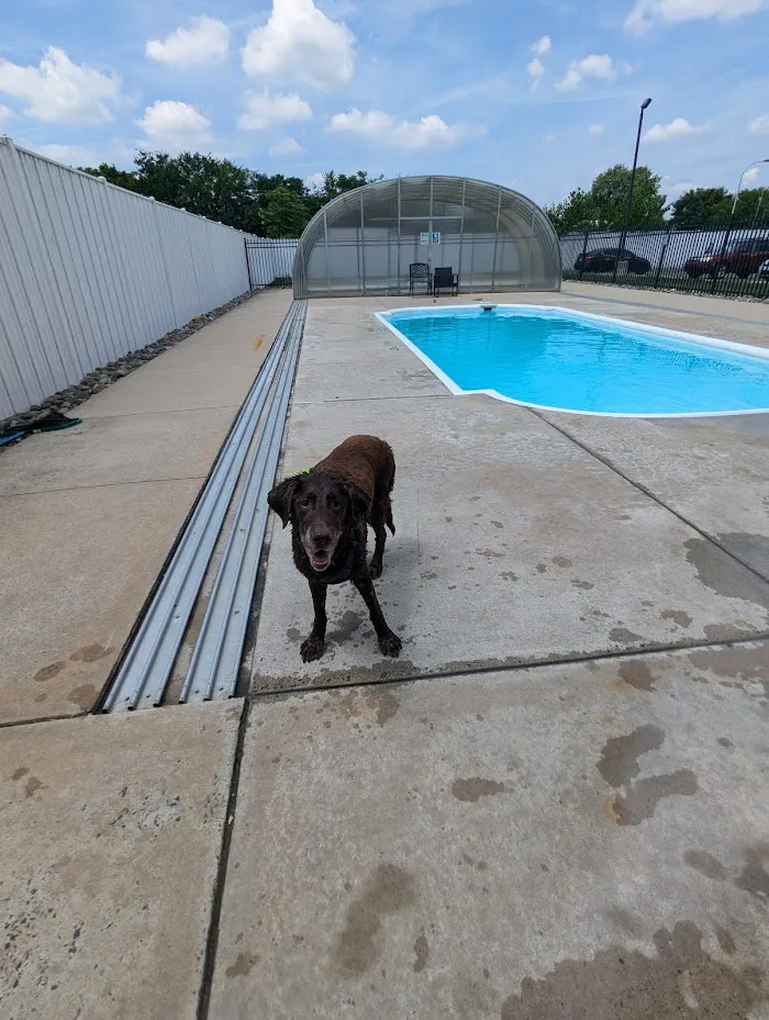 Philadelphia Animal Hospital 6