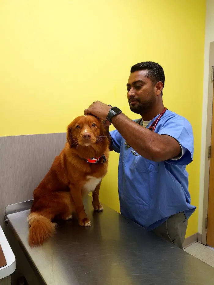 Caring Hands Veterinary Clinic 2
