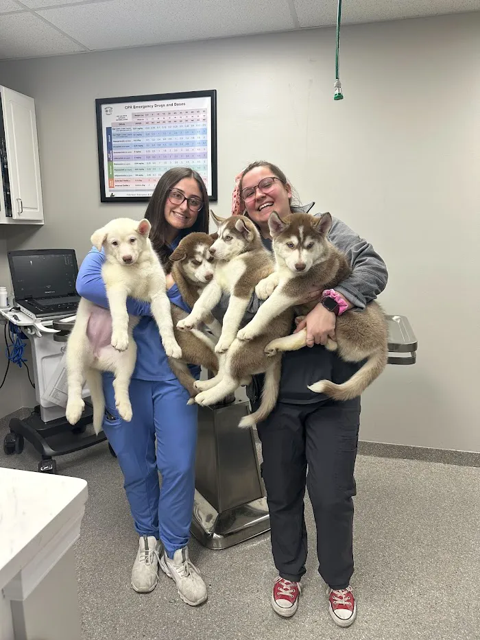 Audubon Family Veterinary Center 12