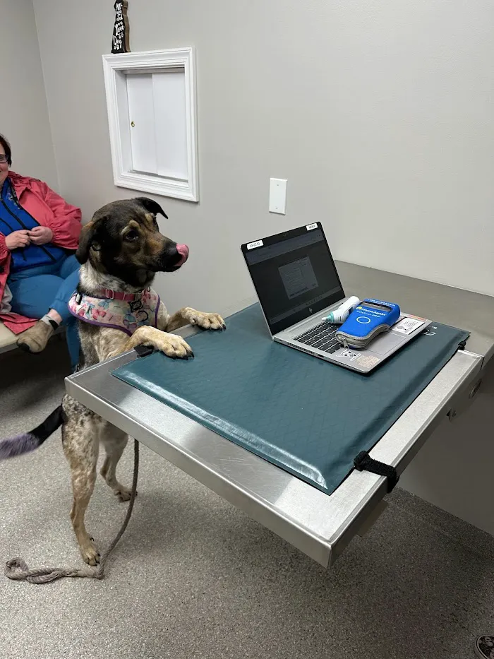 Audubon Family Veterinary Center 12