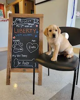 Liberty Veterinary Clinic 12