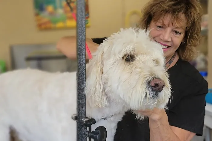 VCA Old Marple Animal Hospital 4