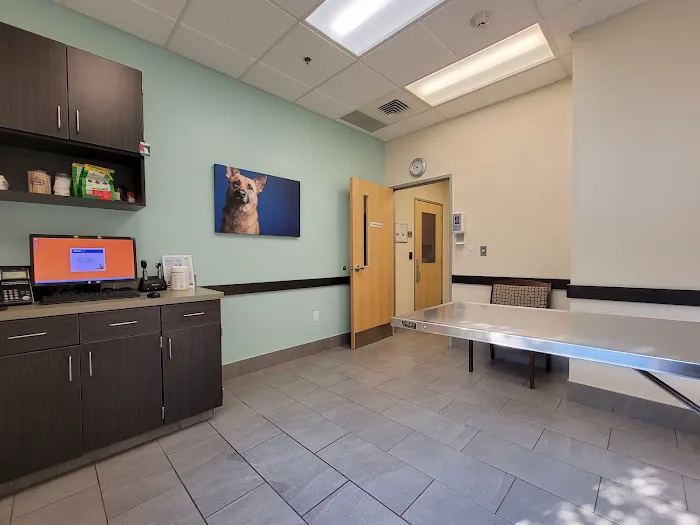 VCA Old Marple Animal Hospital 6