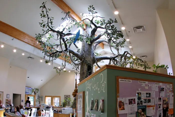 Mount Laurel Animal Hospital 4