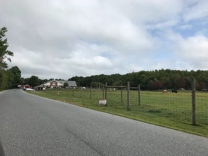 Mount Laurel Animal Hospital 2