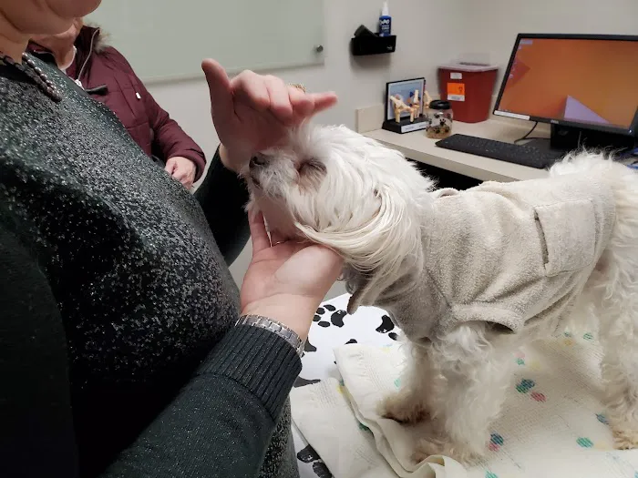 Red Bank Veterinary Hospital - Mt. Laurel 12