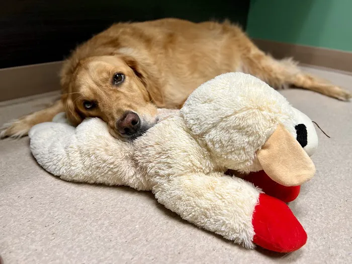 Red Bank Veterinary Hospital - Mt. Laurel 12