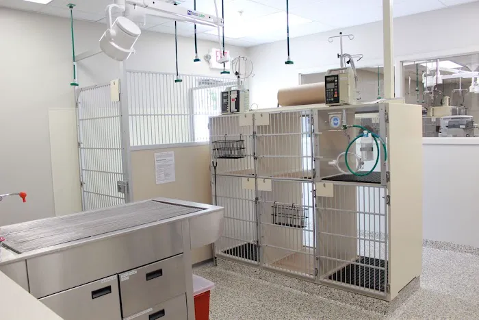 Red Bank Veterinary Hospital - Mt. Laurel 12