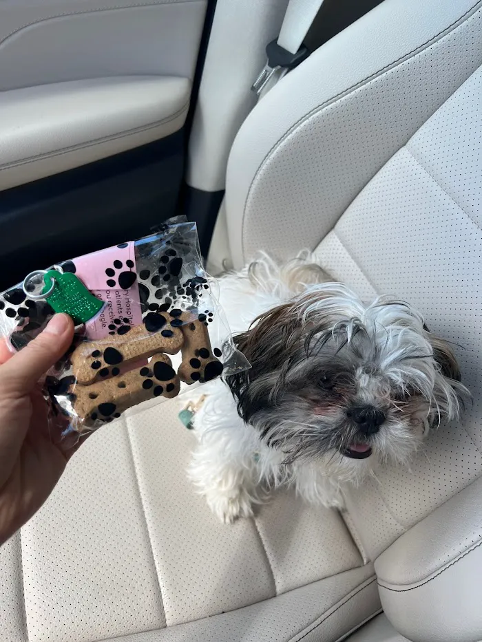 Animals First + Veterinary Hospital & Urgent Care 12