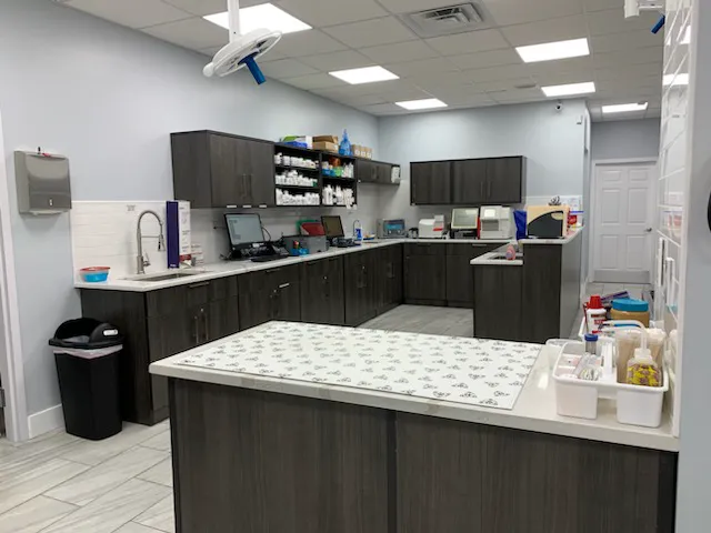 Animals First + Veterinary Hospital & Urgent Care 12