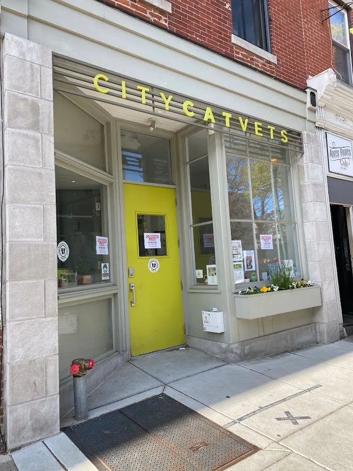 City Cat Vets 12