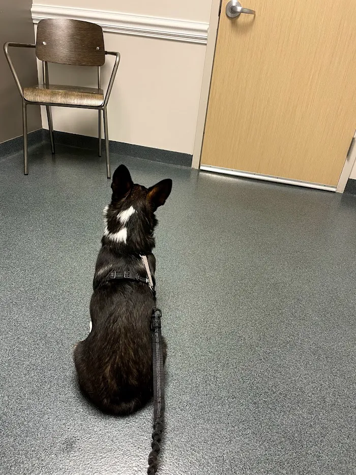 Fishtown Animal Hospital 8