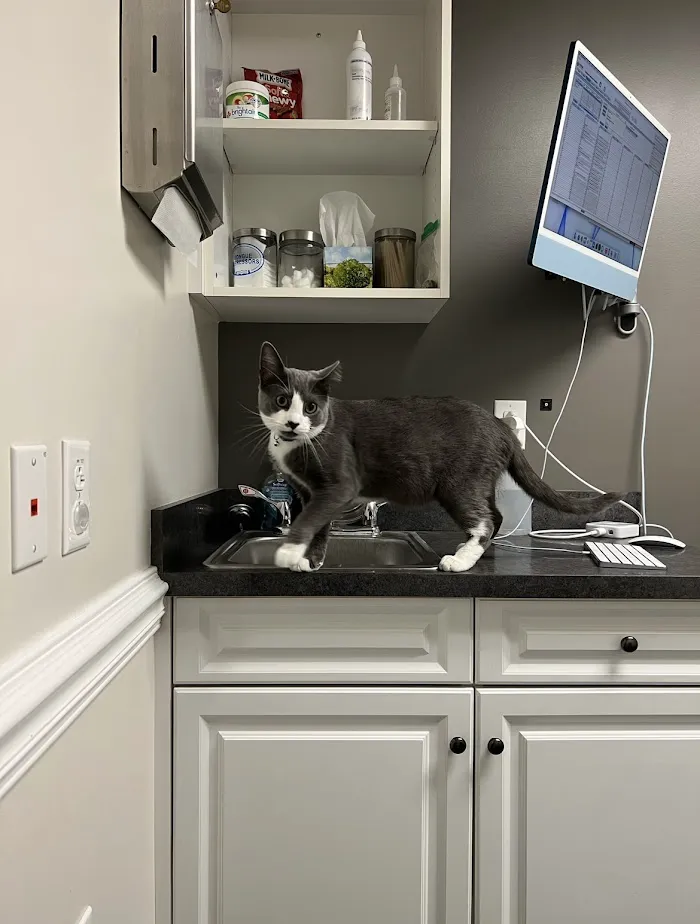 Fishtown Animal Hospital 3