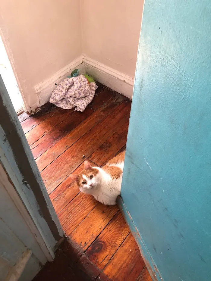 Fishtown Animal Hospital 1