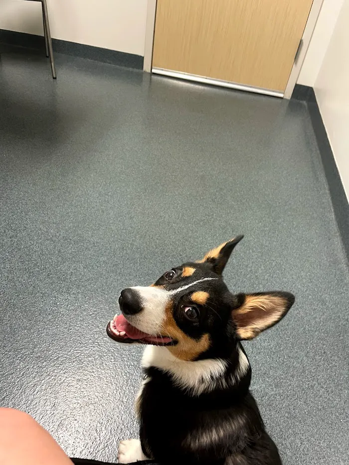 Fishtown Animal Hospital 4