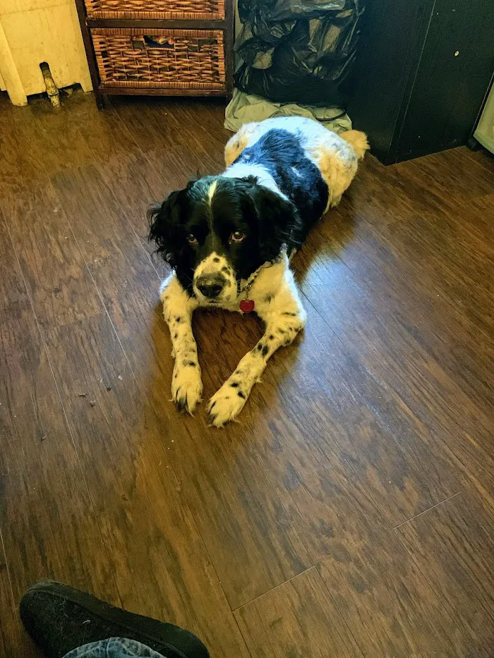 O'Neal Animal Hospital 5