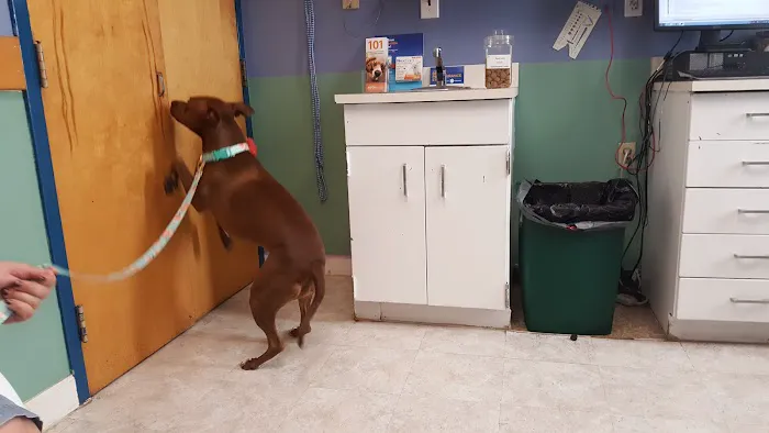 Pet Health Center 6
