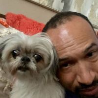 Pet Health Center ico