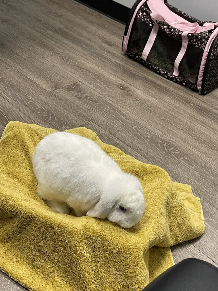 2nd Street Animal Hospital & Exotic Clinic 10