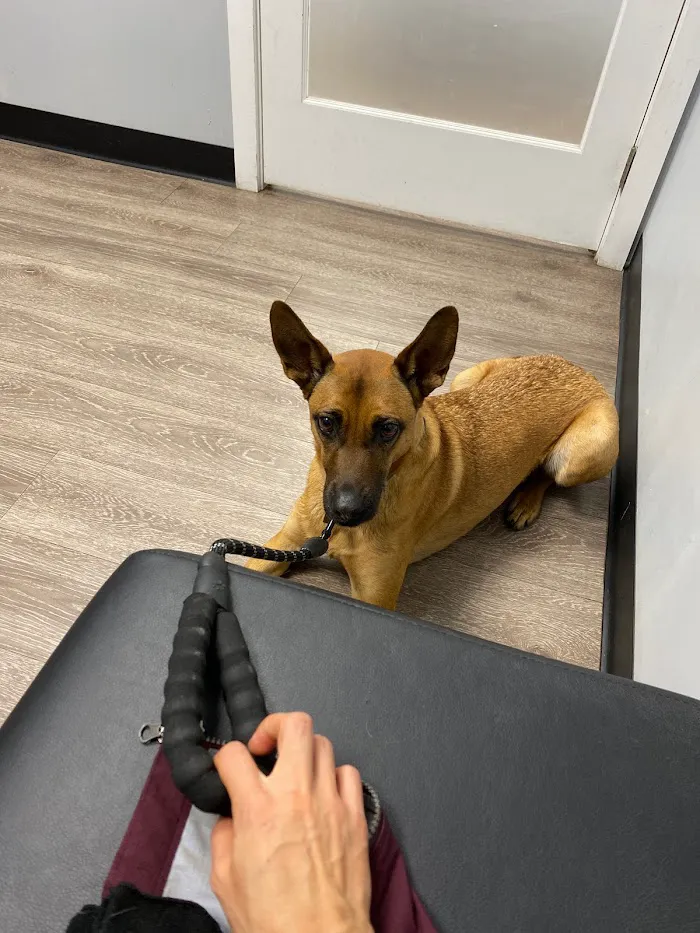 2nd Street Animal Hospital & Exotic Clinic 3