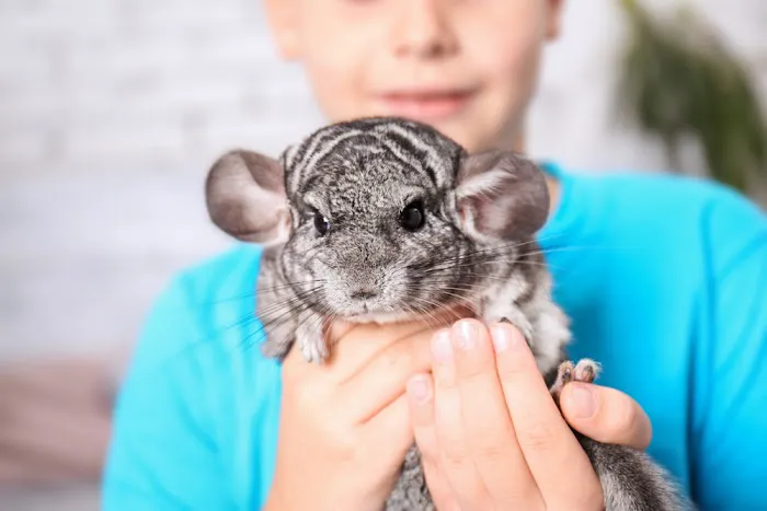 2nd Street Animal Hospital & Exotic Clinic 2