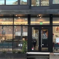 2nd Street Animal Hospital & Exotic Clinic ico