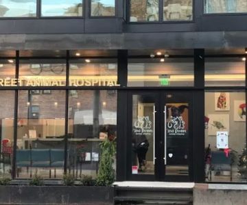 2nd Street Animal Hospital & Exotic Clinic