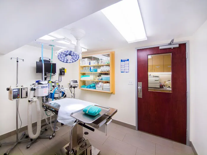 VCA Cat Hospital of Philadelphia 12