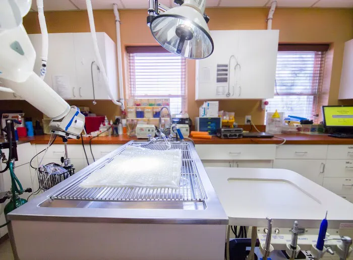 VCA Cat Hospital of Philadelphia 12