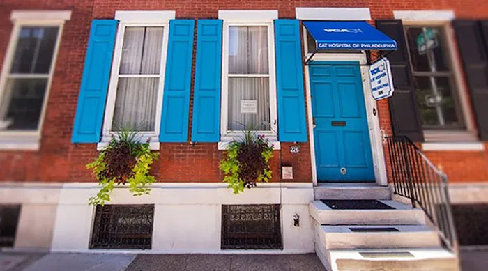 VCA Cat Hospital of Philadelphia 12