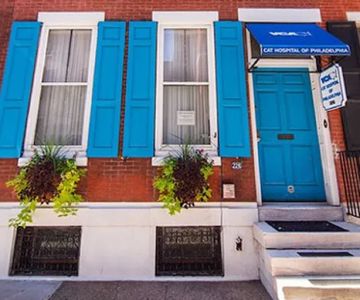 VCA Cat Hospital of Philadelphia