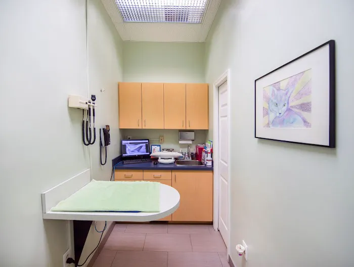 VCA Cat Hospital of Philadelphia 12