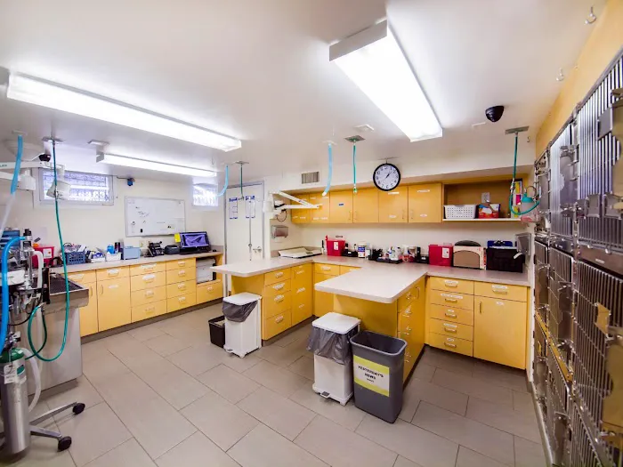 VCA Cat Hospital of Philadelphia 12