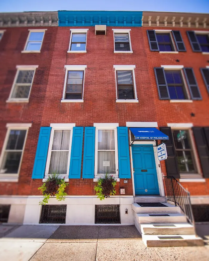 VCA Cat Hospital of Philadelphia 12