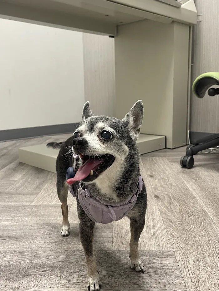 Art Museum Veterinary Center 12
