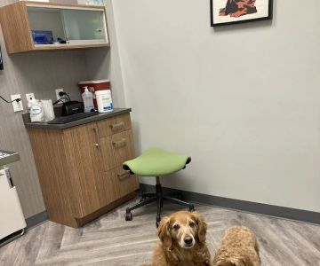 Art Museum Veterinary Center