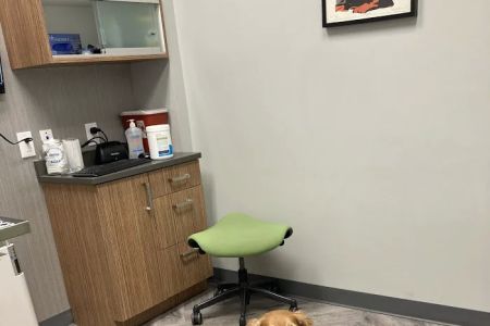 Art Museum Veterinary Center