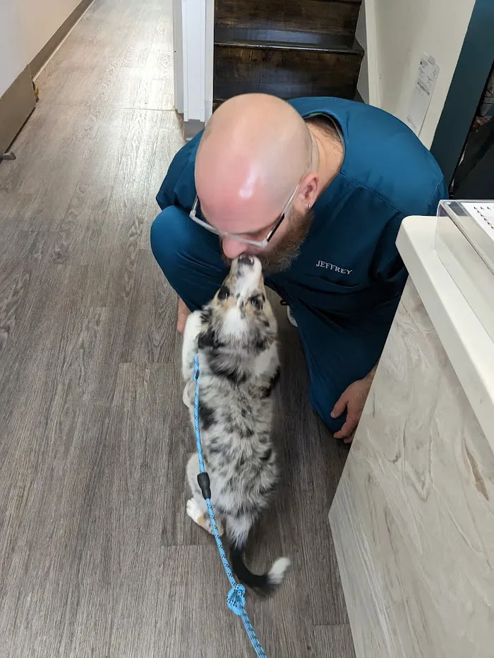 Queen Village Animal Hospital 5