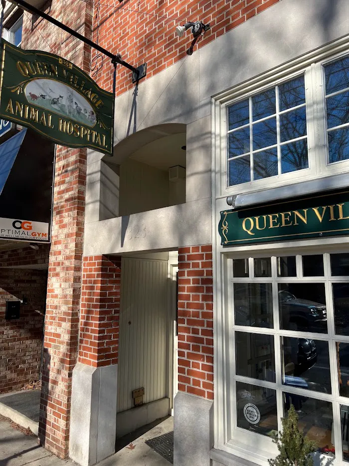 Queen Village Animal Hospital 3