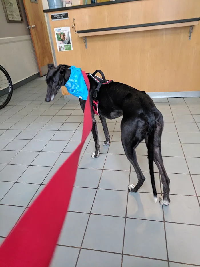 Queen Village Animal Hospital 7