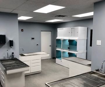Washington Ave Animal Hospital