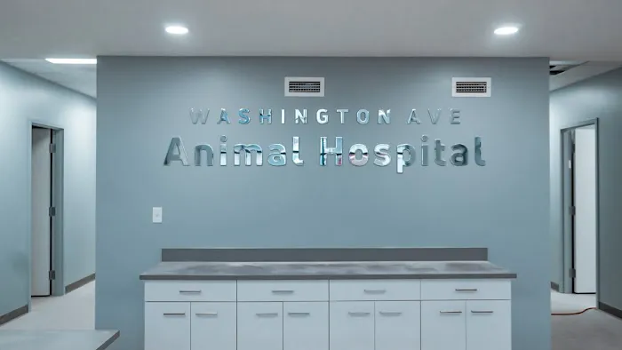 Washington Ave Animal Hospital 3