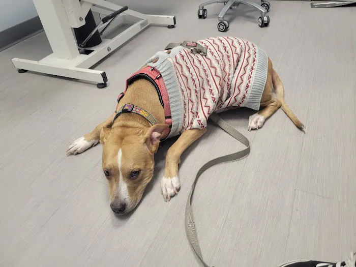 Washington Ave Animal Hospital 6