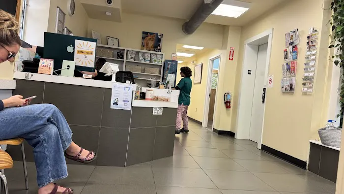 Companion Pet Hospital 2