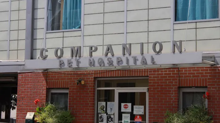 Companion Pet Hospital 3