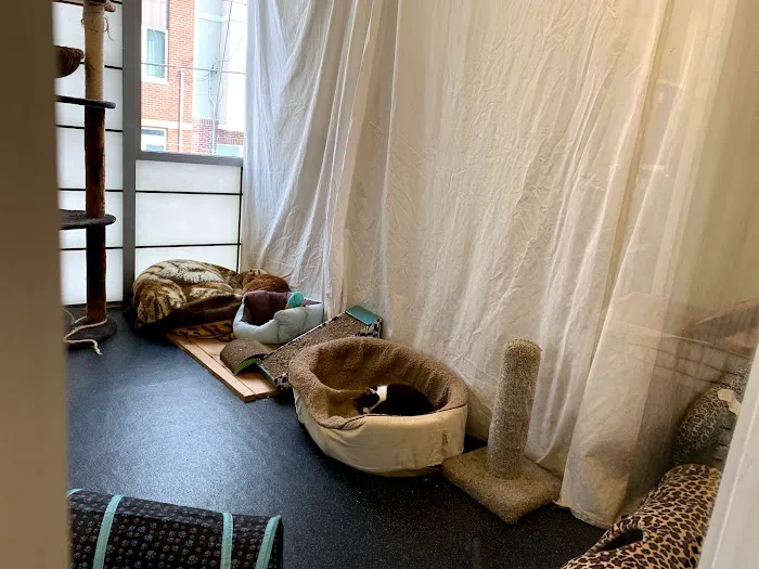 Companion Pet Hospital 1