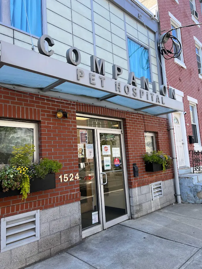 Companion Pet Hospital 10