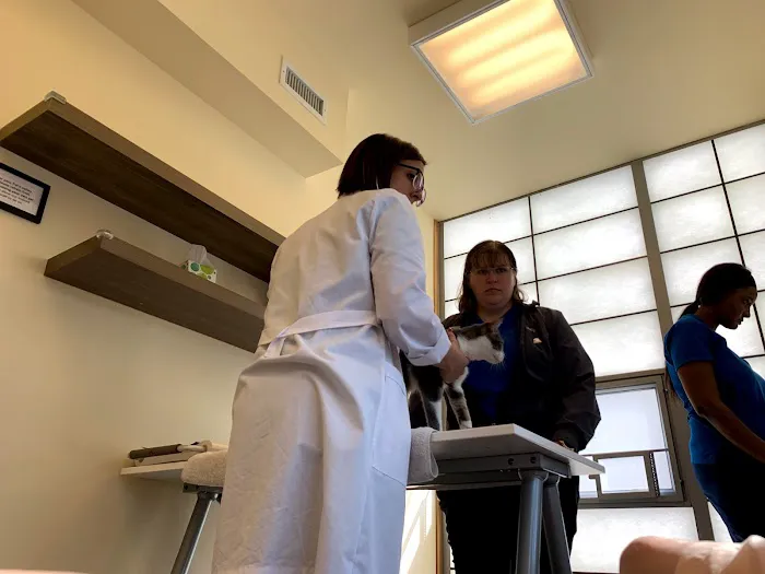 Companion Pet Hospital 5