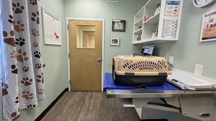 Companion Pet Hospital 4